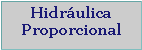 Cuadro de texto: Hidráulica Proporcional