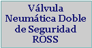 Cuadro de texto: Válvula Neumática Doble de Seguridad ROSS